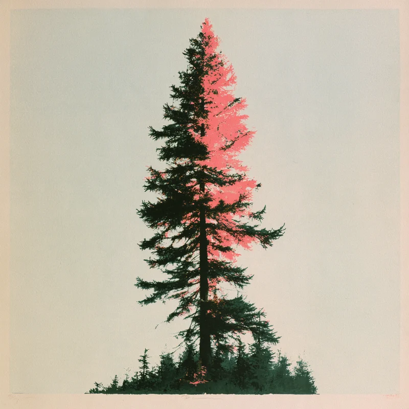 Screenprint-style larch tree in pink and dark green on a pale background.